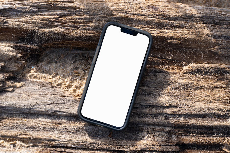 Курсы программирования и UI/UX дизайна