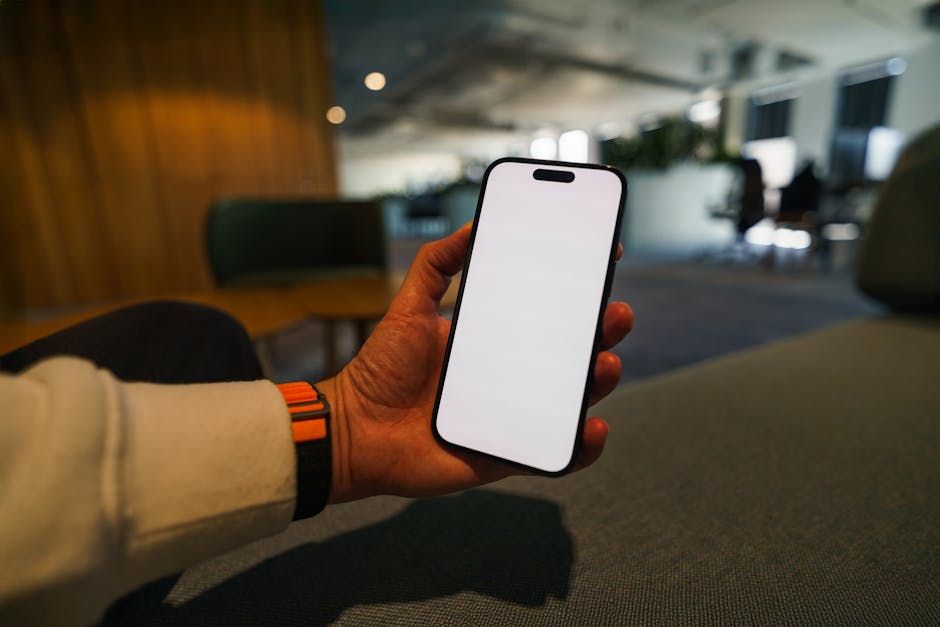 Курсы программирования и UI/UX дизайна